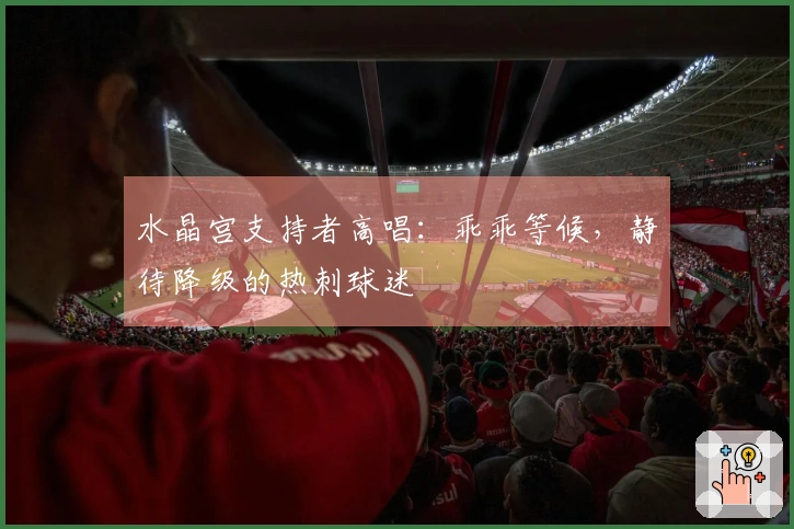 水晶宫支持者高唱：乖乖等候，静待降级的热刺球迷