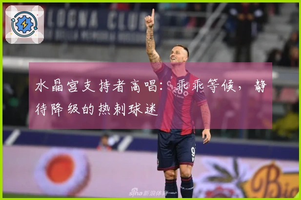 水晶宫支持者高唱：乖乖等候，静待降级的热刺球迷