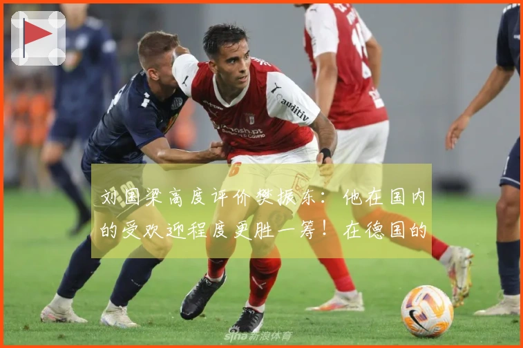 刘国梁高度评价樊振东:他在国内的受欢迎程度更胜一筹!在德国的受欢迎源于赢得的尊敬